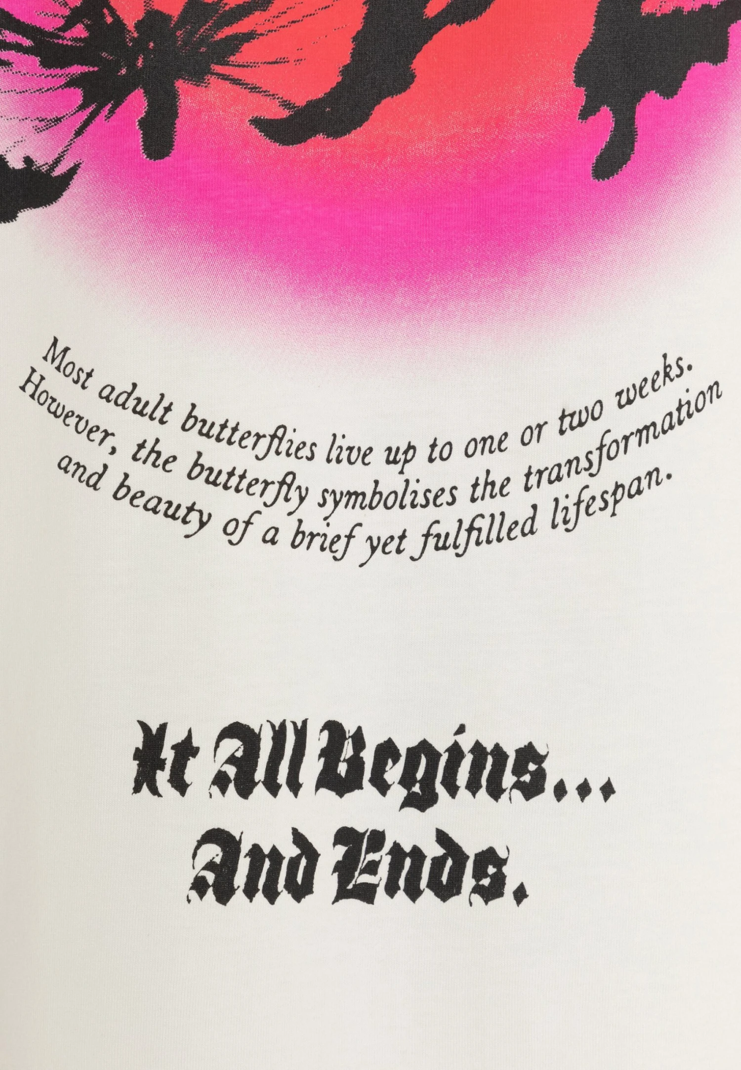 NIGHT ADDICT T-Shirt Con StampaEcru Uomo T-shirt E Polo NIJ22O087-A11 5 NIGHT ADDICT T-Shirt Con StampaEcru Uomo T-shirt E Polo NIJ22O087-A11 - immagine 5